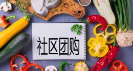 社区团购，巨头们的“鱿鱼游戏”？