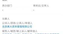 贾跃亭被国家电网子公司起诉