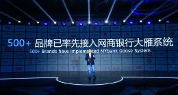 解决小微企业综合资金管理等需求 网商银行正式发布“大雁系统”