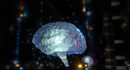 王小川想走张一鸣和黄峥的老路，但终点不同