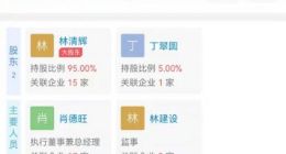 贵人鸟投资被执行超3亿元