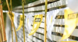 重仓Z世代新青年，极限之路全速奔跑