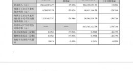 若羽臣三季度实现营收2.86亿元 同比增长25.93%