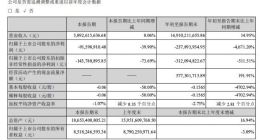 申通快递：第三季度亏损9159.89万元 亏损同比扩大