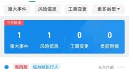 宜家被执行超109万元