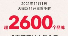 天猫双11正式开启 首小时超2600个品牌成交超去年全天