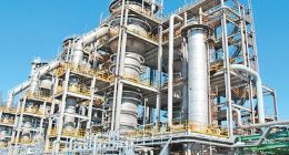 我国首次实现从一氧化碳到蛋白质的合成