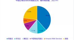 2021上半年中国PaaS市场增速53.9% 亚马逊云科技份额跃居第二