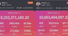 李佳琦薇娅辟谣！数据平台集体“翻车”背后……