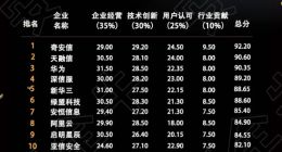 2020年中国网络安全收入达690亿 奇安信位居100强企业榜首
