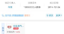 王传福卸任武汉比亚迪董事长职务：副总裁何龙接任