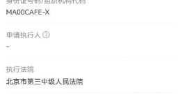 企查查显示法法汽车成被执行人，执行标的约205万