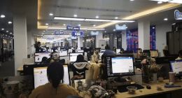 2021年双11 天猫医药健康14家品牌破亿