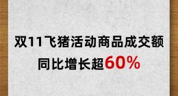 飞猪双11成交额同比增长超60% 12个品牌成交额超亿元