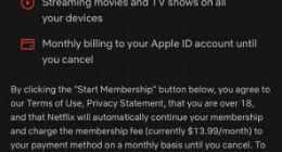 时隔三年，Netflix 网飞再次允许 iOS 用户通过 App 直接订阅支付