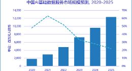 人工智能基础数据服务市场进入新阶段