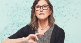 木头姐：特斯拉可能在未来5年占领逾20%的汽车市场份额