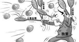 康美案之海外对比：在发展更成熟的美国 独立董事是“高危职业”吗？