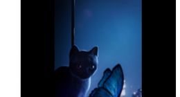 Reno7系列全球首发IMX709超感光猫眼镜头：OPPO/索尼联合打造