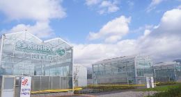 拼多多发布Q3财报：营收215亿元 三季度所有利润继续投入“百亿农研专项”