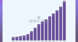 估值500亿美元 巴菲特力挺的金融独角兽要上市了