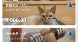 支付宝上线“小荷包”功能：钱可以分类放了