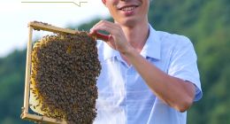 深耕服务中小企业，技术赋能小微，小赢科技开启第二增长曲线