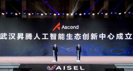 从武汉模式走向中国模式，打造人工智能产业发展的“中国样板”