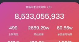 薇娅全网被封 平台和品牌方也难辞其咎 复出几率几何？