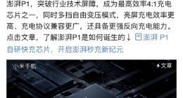 小米12 Pro首发搭载全新澎湃P1芯片 基于行业领先的「120W单电芯方案」