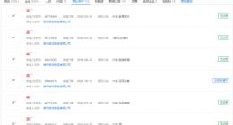 oppovivo成功注册蓝绿厂商标