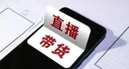 薇娅、雪梨们倒下，直播电商下半场何去何从？