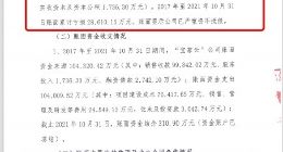 宝家乡墅被指爆雷 2.7亿元漏洞难填 回乡建房的梦碎了