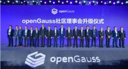社区持续升级 openGauss联合产业创新 推动数据库跨越式发展