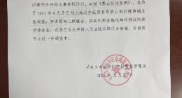“微商女王”张庭公司涉传销被查处