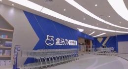 山姆退卡潮+盒马开店潮，会员制电商的“冰”与“火”