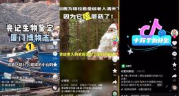 抖音上线学习频道 为知识内容增加一级入口