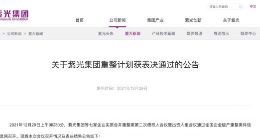 紫光集团等七家企业实质合并重整案重整计划（草案）通过