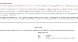 拼多多宣布公司财务副总裁马靖离职