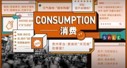 19家明星消费公司的19个大问题