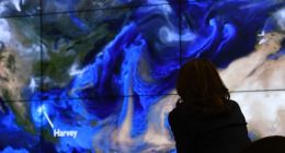 了解碳的社会成本：排放1吨碳的真实成本到底是多少