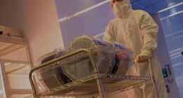 英伟达CFO预计芯片供应下半年会有缓解 但格芯CEO并不认同