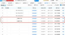 红蜻蜓申请“红蜻蜓元宇宙”商标
