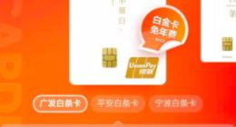支付宝借呗部分改为“信用贷”后 京东白条也宣布升级“白条卡”