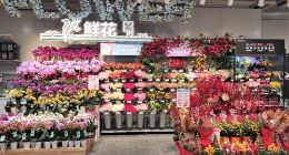 年宵花主力军降价四成 盒马线上线下开启春节花市