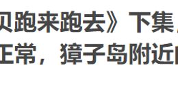 A股“故事大王”趁乱涨停 网友：“在逃扇贝”回来了？