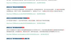 威马偷偷「锁」的电 是新能源车绕不开的痛