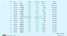 新能源车盛景下的隐忧