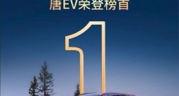 挪威乘联会评测31款电动汽车冬季续航：比亚迪唐EV夺冠