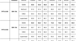 2040张图片训练出的ViT，准确率96.7%，连迁移性能都令人惊讶
